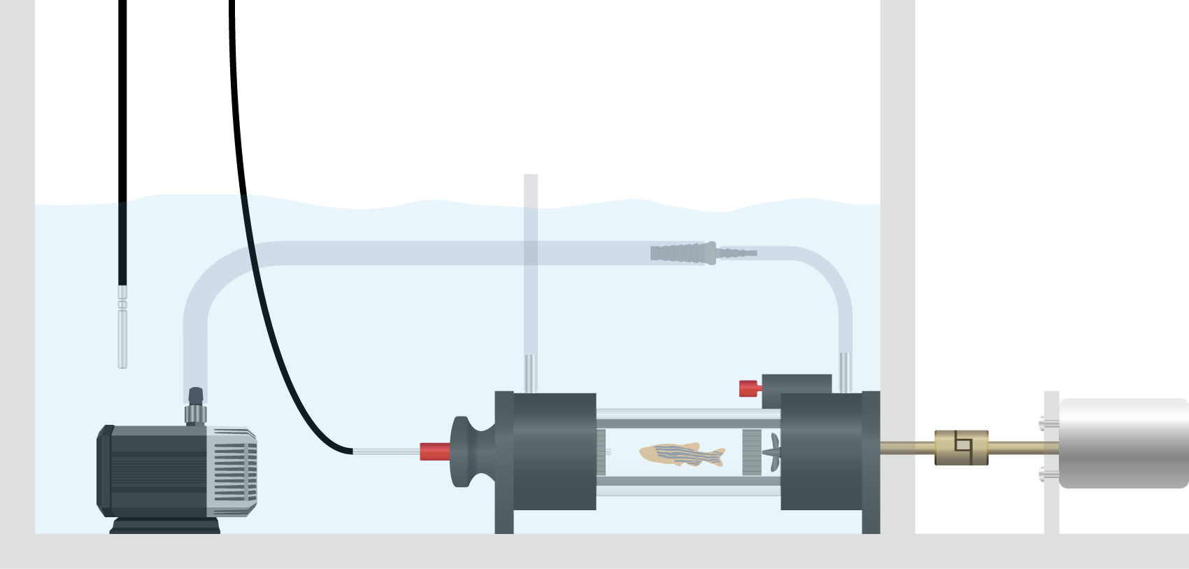 Mini swim flume
